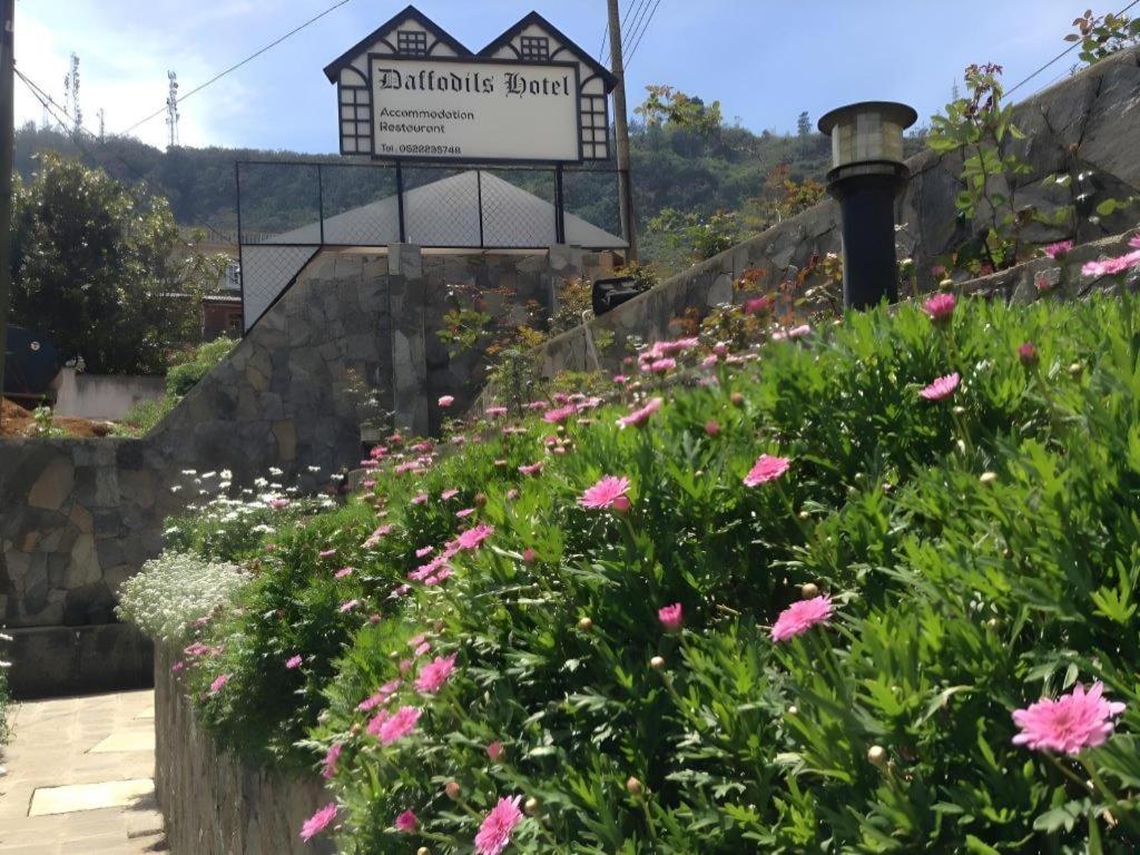 Daffodil'S Hotel Nuwara Eliya Bagian luar foto