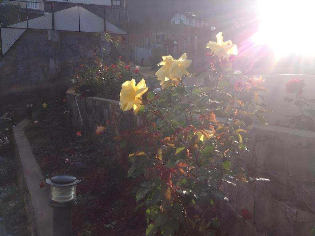 Daffodil'S Hotel Nuwara Eliya Bagian luar foto