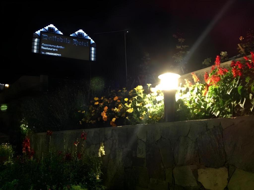 Daffodil'S Hotel Nuwara Eliya Bagian luar foto