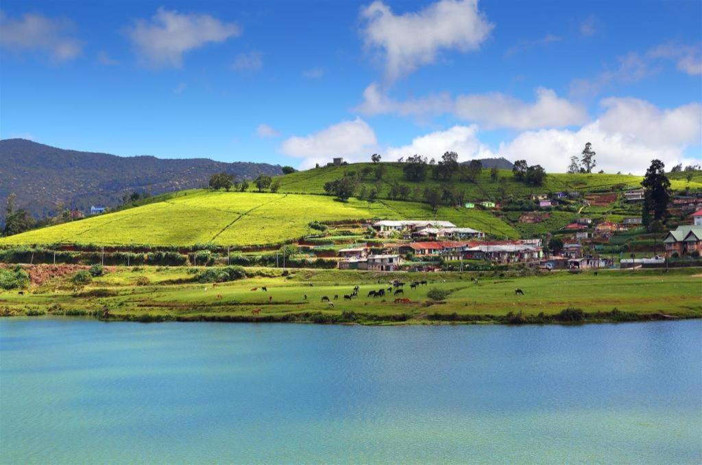 Daffodils Hotel Nuwara Eliya Bagian luar foto