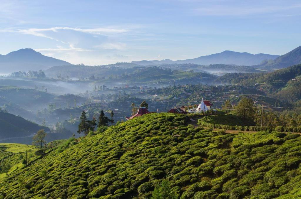 Daffodil'S Hotel Nuwara Eliya Bagian luar foto