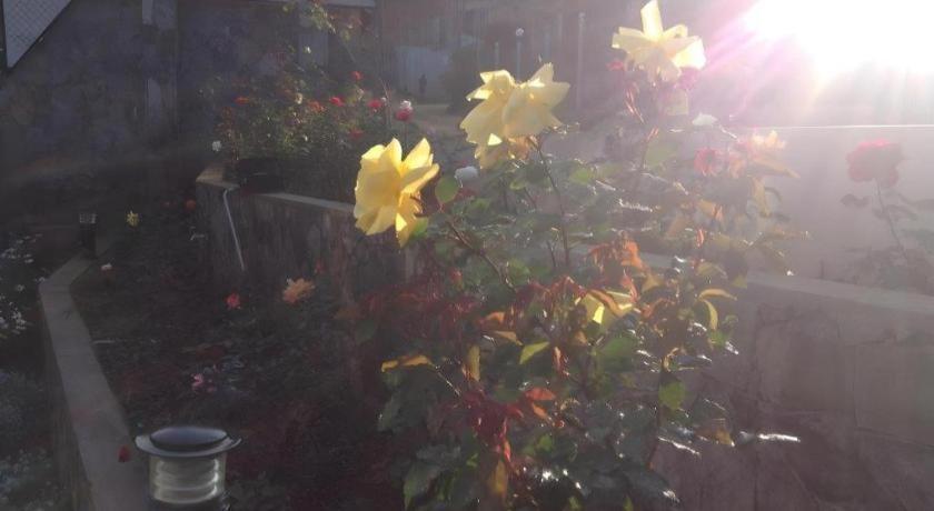 Daffodils Hotel Nuwara Eliya Bagian luar foto