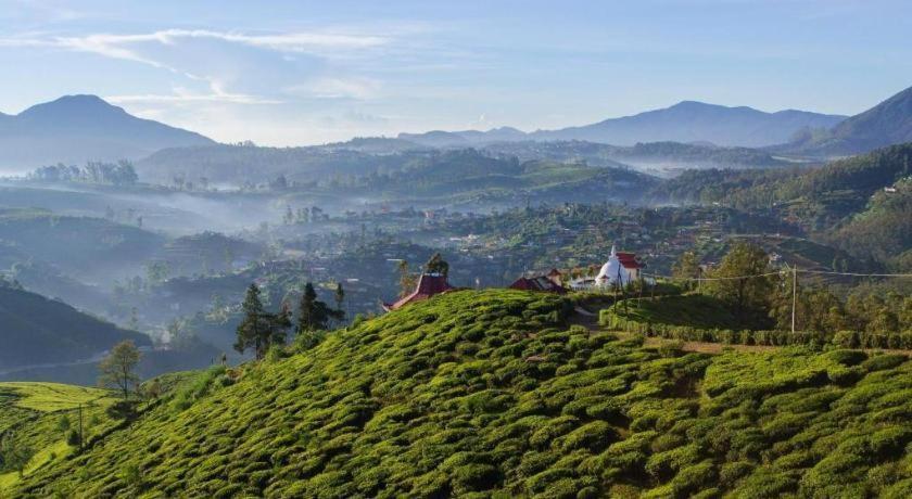 Daffodils Hotel Nuwara Eliya Bagian luar foto